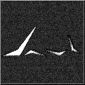 darks3's picture